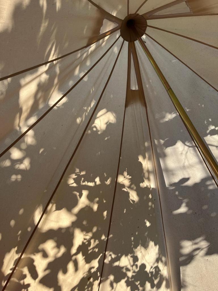 Yurta Con Uso Piscina E Vista Meravigliosa * Dicomano